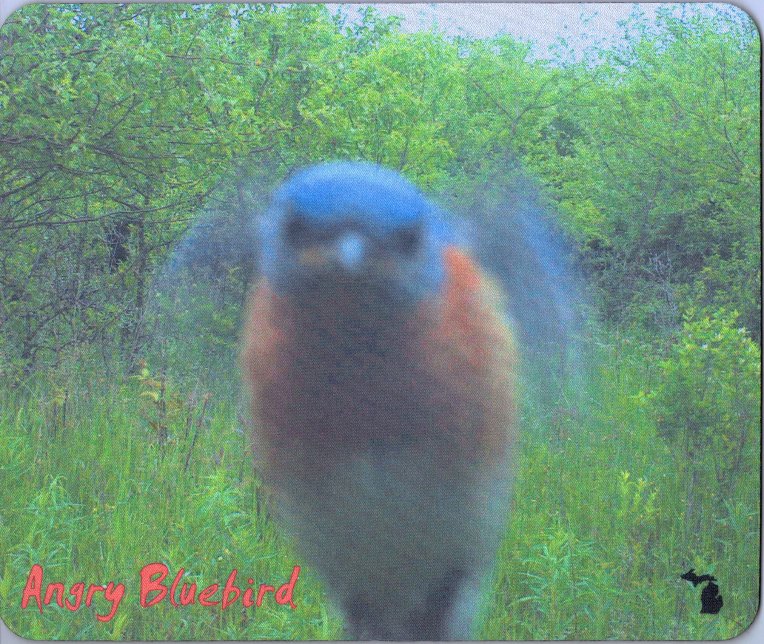 Angry Bird Michigan Mousepad USA