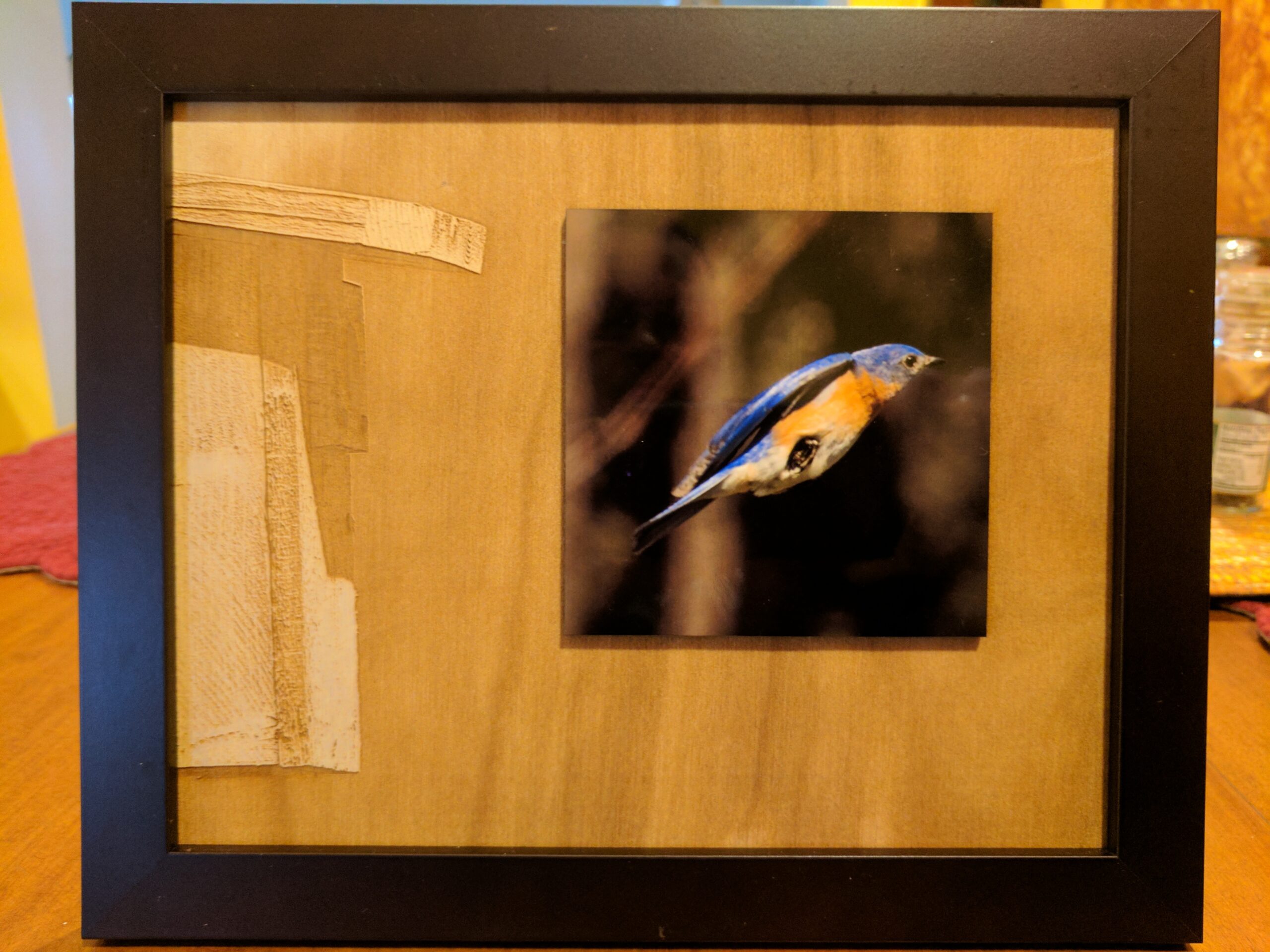 Bluebird Laser engraved and sublimated photograph